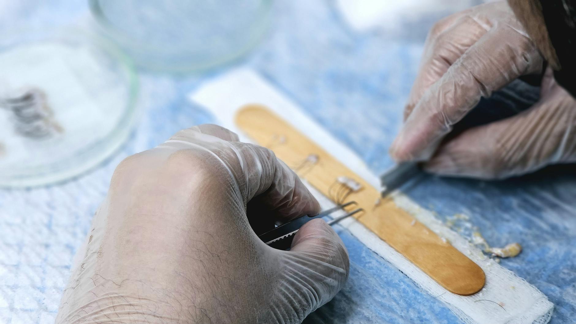 Como Restaurar Cabelos Danificados com Dicas Práticas